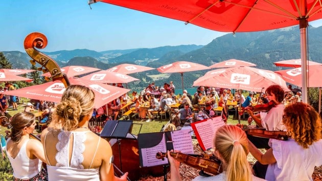 Gustostückerl und Schmankerl auf der Hütte