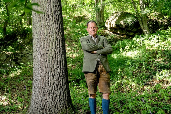 Bärlauch, Schneeglöckerl und auch die ersten Palmkatzerl kämpfen sich ans Licht! Markus Hoyos ...