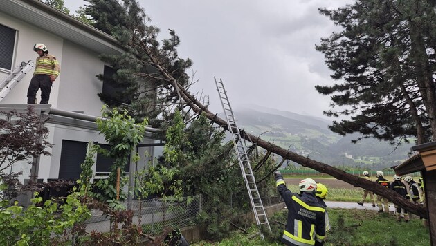 Die Feuerwehr beseitigte den Baum, der auf das Wohnhaus gestürzt war.