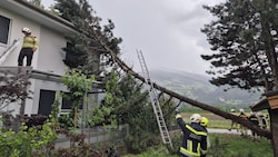 Die Feuerwehr beseitigte den Baum, der auf das Wohnhaus gestürzt war.