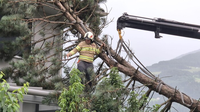 Mit schwerem Gerät wurde der Baum entfernt. Das Dach des Wohngebäudes wurde durch den Vorfall ...