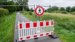 In der niedersächsischen Stadt Vechta war seit Freitag nach einem Alligator gesucht worden. Nun ...