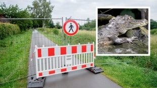Im deutschen Vechta suchen Einsatzkräfte derzeit fieberhaft nach einem Alligator-Jungtier.