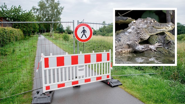 Im deutschen Vechta suchen Einsatzkräfte derzeit fieberhaft nach einem Alligator-Jungtier.