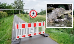 Im deutschen Vechta suchen Einsatzkräfte derzeit fieberhaft nach einem Alligator-Jungtier.