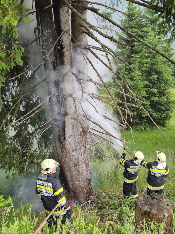 In St. Lambrecht musste die Feuerwehr einen Baum löschen