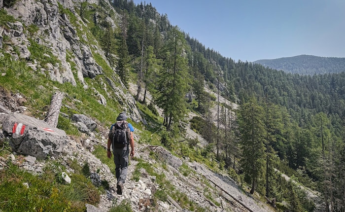 Der Wandweg auf den Hohen Nock führt fast direkt zur Brandfläche. 