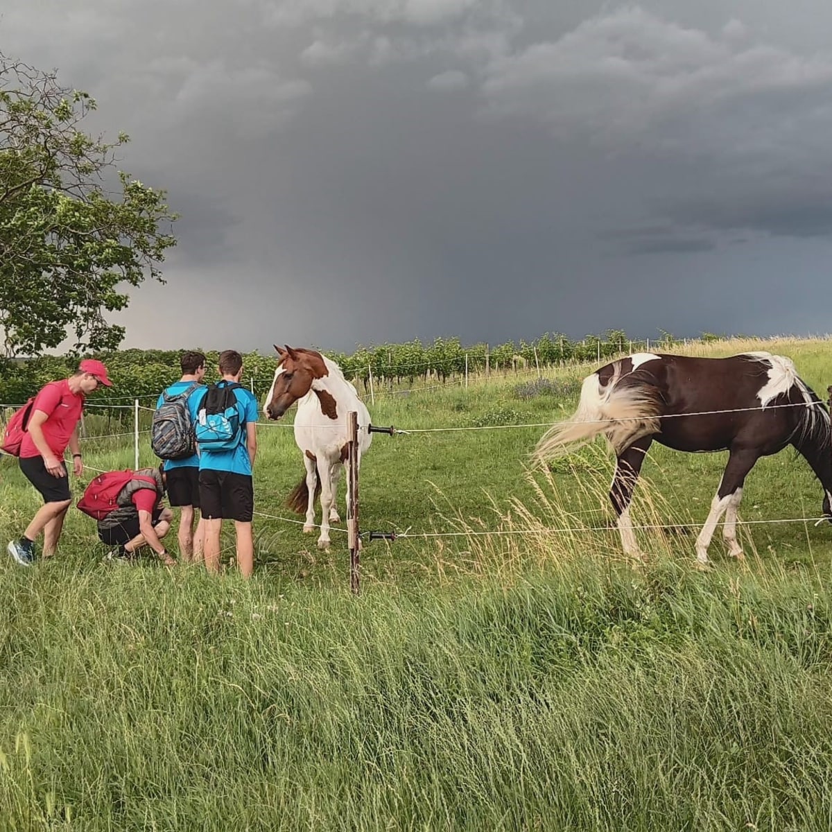 Bumassburner getting fucked look at the evaluations for