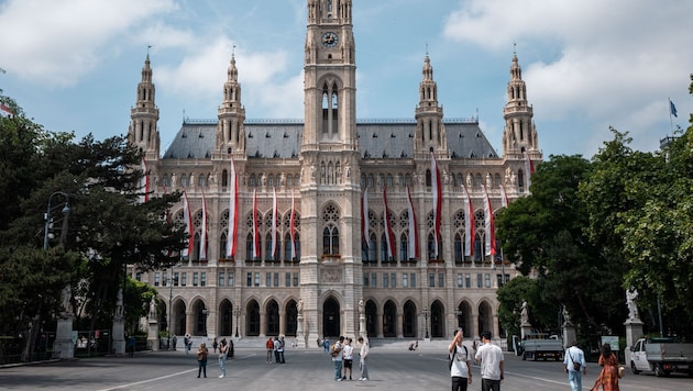 Mit der Stadtregierung wollen bei der Entscheidung, wo gespart oder Gebühren erhöht werden ...