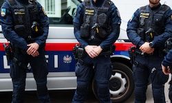 Ein albanischer Suchtmittelring ist zerschlagen worden. Die Polizei NÖ berichtete von zehn ...