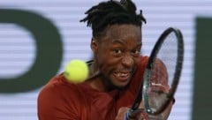 Im Tennis bekommen die Profispielerinnen und Profispieler nach Niederlagen immer wieder ...