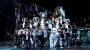 „Cats“ mit den wunderschönen Kostümen und handgemaltem Make-up.