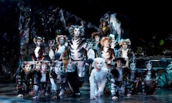 „Cats“ mit den wunderschönen Kostümen und handgemaltem Make-up.