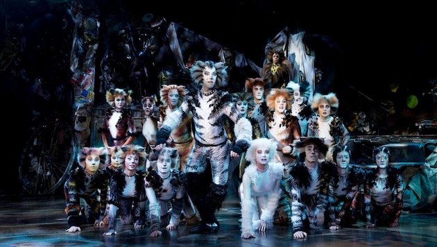„Cats“ mit den wunderschönen Kostümen und handgemaltem Make-up.