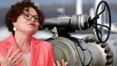 Österreichs Energiestaatssekretärin Elisabeth Zehetner