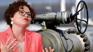 Österreichs Energiestaatssekretärin Elisabeth Zehetner
