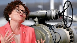 Österreichs Energiestaatssekretärin Elisabeth Zehetner
