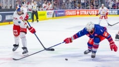 KAC verpflichtet Verteidiger Jordan Murray (re.), der in der Champions League schon gegen ...