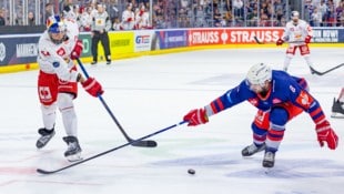 KAC verpflichtet Verteidiger Jordan Murray (re.), der in der Champions League schon gegen ...