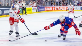 KAC verpflichtet Verteidiger Jordan Murray (re.), der in der Champions League schon gegen ...
