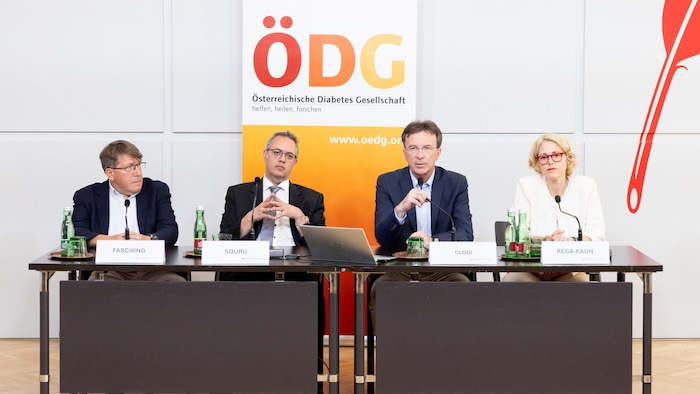 Diabetes Experten (v.l.n.r.): Prim. Fasching, Prim. Univ.-Prof. MR Dr. Peter Fasching, MBA, ...