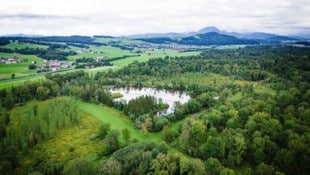 37,3 Millionen Euro hat das Land Salzburg vor drei Jahren für die Antheringer Au bezahlt.
