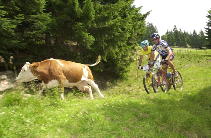 Mitten in der Idylle! Die Alpentour in Schladming liefert wieder spektakuläre Bilder aus der ...