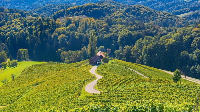 Südsteirische Weinstraße