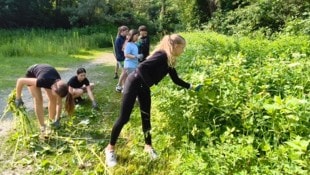 Die Junggärtner waren viele Stunden in der Natur im Einsatz.