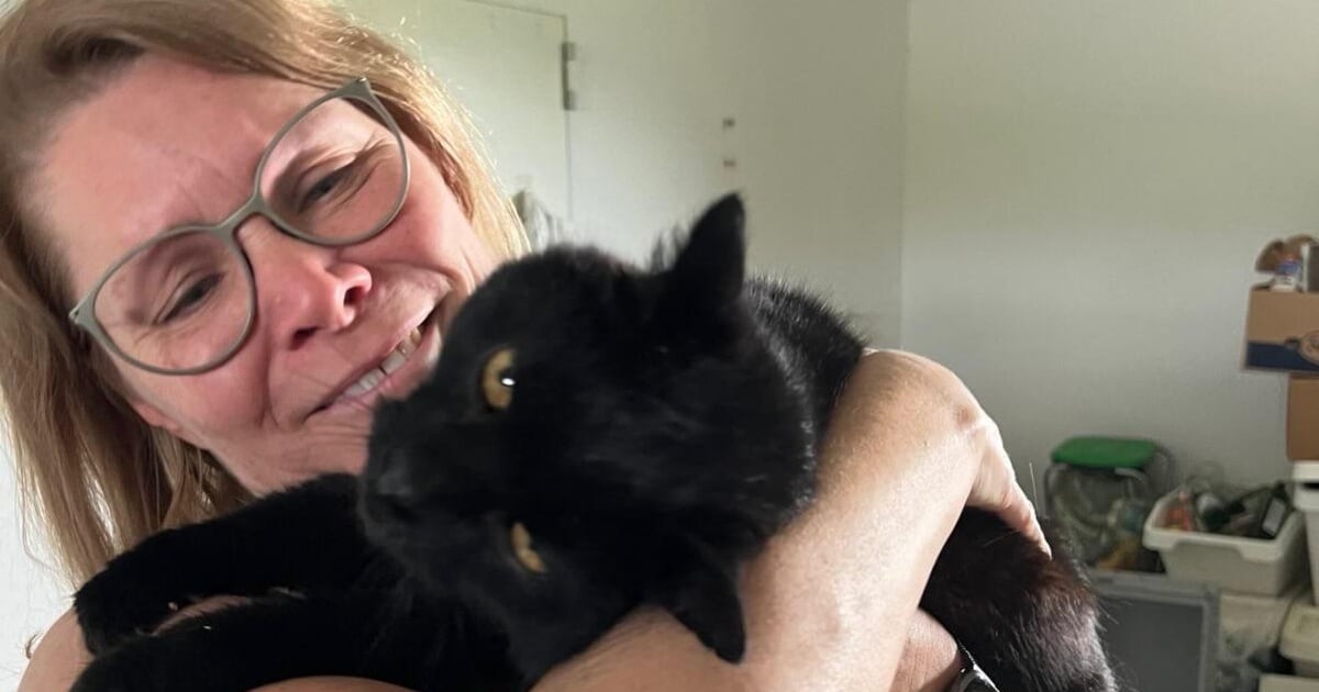 Exchange in the Shelter – Happy Ending for Hangover “Oskar” after a 12 -day search query