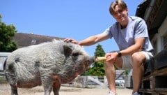 Finn van Ee mit Hängebauchschwein „Oscar“, das er einst aufgezogen hat.