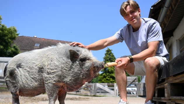 Finn van Ee mit Hängebauchschwein „Oscar“, das er einst aufgezogen hat.