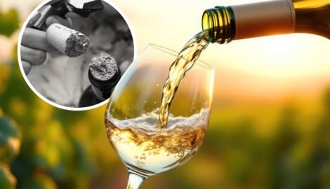 Hat es sich bald „ausgekorkt“? Immer mehr Weine haben einen Schraubverschluss.