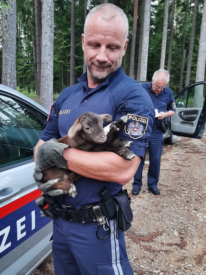 Polizist Roland Köck brachte mit seinem Kollegen Anton Dangl das Lämmchen in Sicherheit