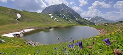 Idyllsche Bergseen, blühnende Wiese – Vorarlbergs Alpgebiete sind ein wahrer Garten Eden. 