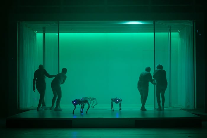 Roboter erobern die Welt, während der Mensch ein Ablaufdatum hat.