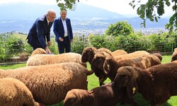 Landeshauptmann Anton Mattle verteidigt die Haltung des Landes Tirol in der Wolfsfrage.