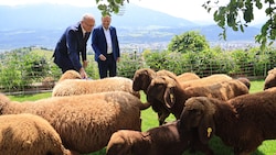 Landeshauptmann Anton Mattle verteidigt die Haltung des Landes Tirol in der Wolfsfrage.