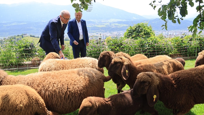 Landwirtschaft genießt einen hohen Stellenwert in Tirol: Im Bild LH Anton Mattle (li.) und ...