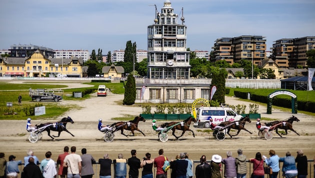 Bei den Stallungen der Trabrennbahn Krieau wurde mutmaßlich ein vorsätzlicher Brand gelegt.