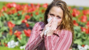 Brennende Augen, rinnende Nase – ärgerliche Symptome, die alle Allergiker kennen.