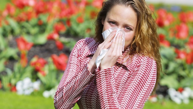 Brennende Augen, rinnende Nase – ärgerliche Symptome, die alle Allergiker kennen.