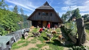 Die Collies in ihrer neuen Heimat.