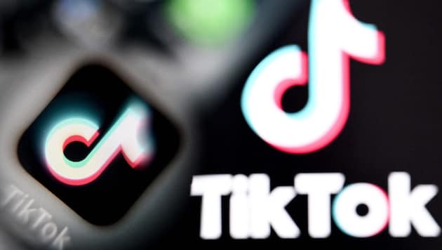 Die Plattform TikTok erfreut sich bei Jugendlichen großer Beliebtheit.