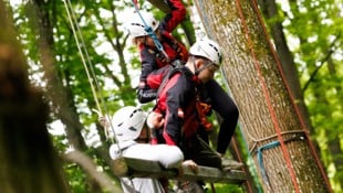 Im Klettergarten ging’s auch darum, das Vertrauen innerhalb des Teams zu verbessern.