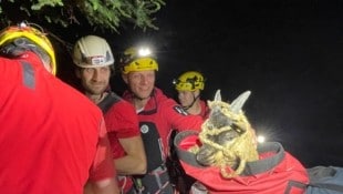 Die glücklichen Bergretter mit der Baby-Ziege im Bergesack.
