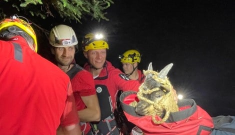 Die glücklichen Bergretter mit der Baby-Ziege im Bergesack.
