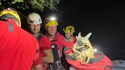 Die glücklichen Bergretter mit der Baby-Ziege im Bergesack.