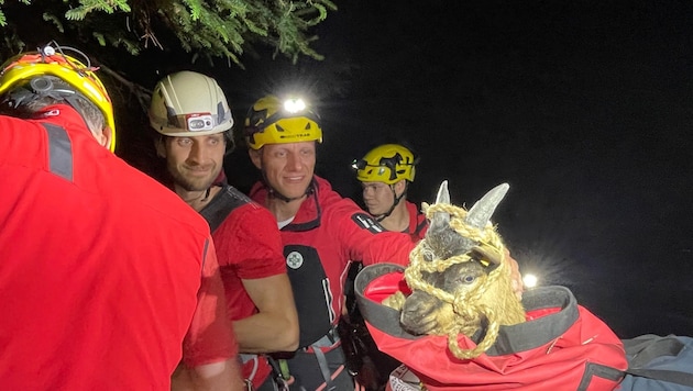 Die glücklichen Bergretter mit der Baby-Ziege im Bergesack.