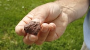 Mögliche Bruchstücke des Meteoriten sollten dokumentiert und die Infos dann per Mail an das NHM ...